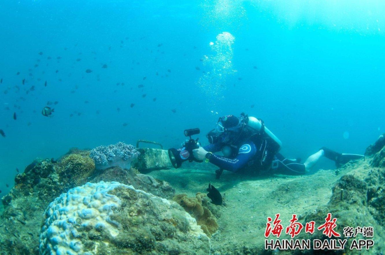 潍坊滨海实验小学开展新春游园会活动