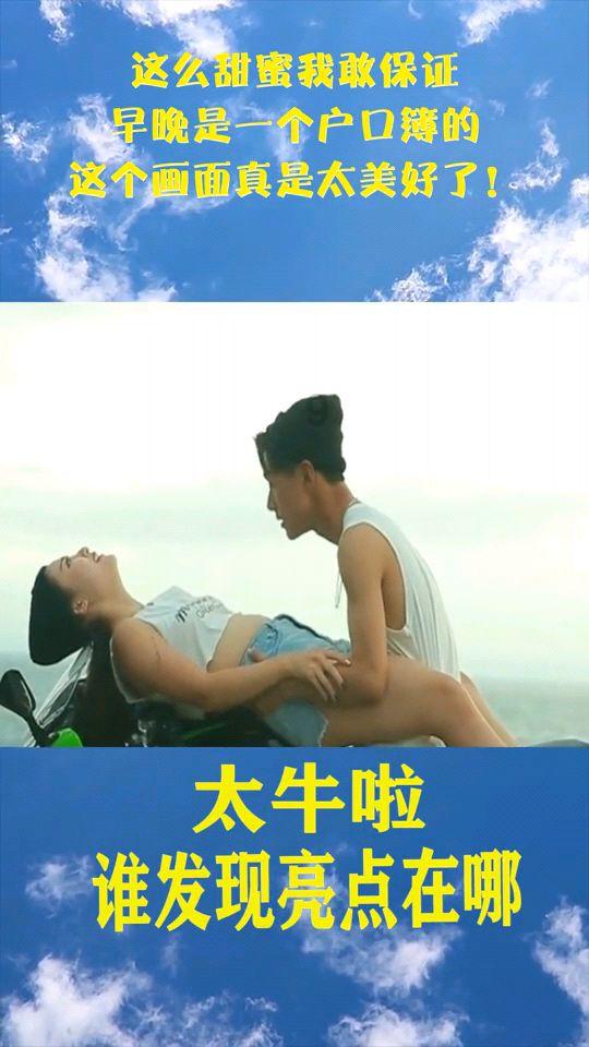 小狗救援行动选关版